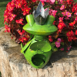 Decoratiune gradina-Broscoi indragostit