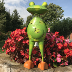 Decoratiune gradina-Broscoi cu stropitoare