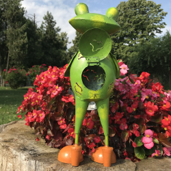 Decoratiune gradina-Broscoi cu stropitoare