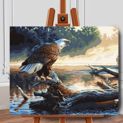 Set pictura pe numere (panza) Vultur cu cap alb 40x50 cm