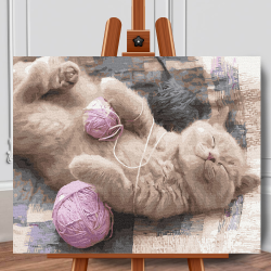 Set pictura pe numere (panza) Pisica somnoroasa 40x50 cm
