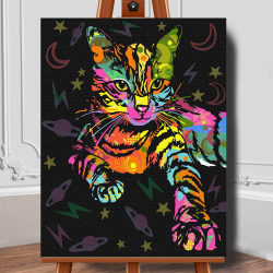 Set pictura pe numere (panza) Pisica Neon 50x40 cm