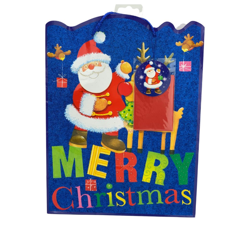 Punga de iarna - cu glitter L