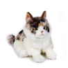 Jucarie de plus Pisica Norvegiana