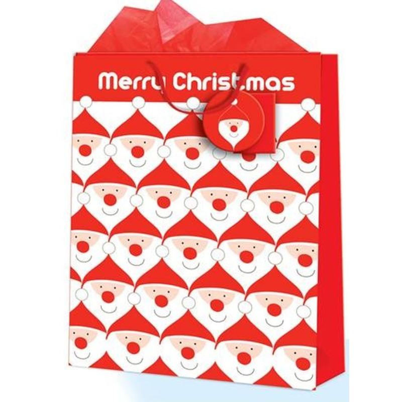 Punga iarna Mos Craciun - cu glitter