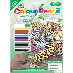 Set creativ educativ - Coloreaza pe numere - Jaguar