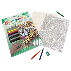 Set creativ educativ - Coloreaza pe numere - Jaguar