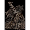 Set gravura pe folie din cupru - Girafe