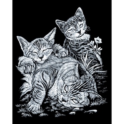 Set gravura pe folie argintie - Pisicute