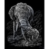Set gravura pe folie argintie - Elefanti