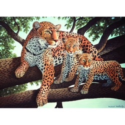 Pictura pe numere juniori - Leopard african