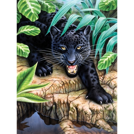 Prima mea pictura pe numere junior mica - Leopard negru