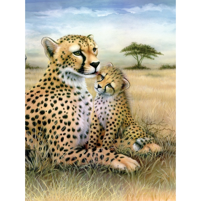 Prima mea pictura pe numere junior mica - Leopard